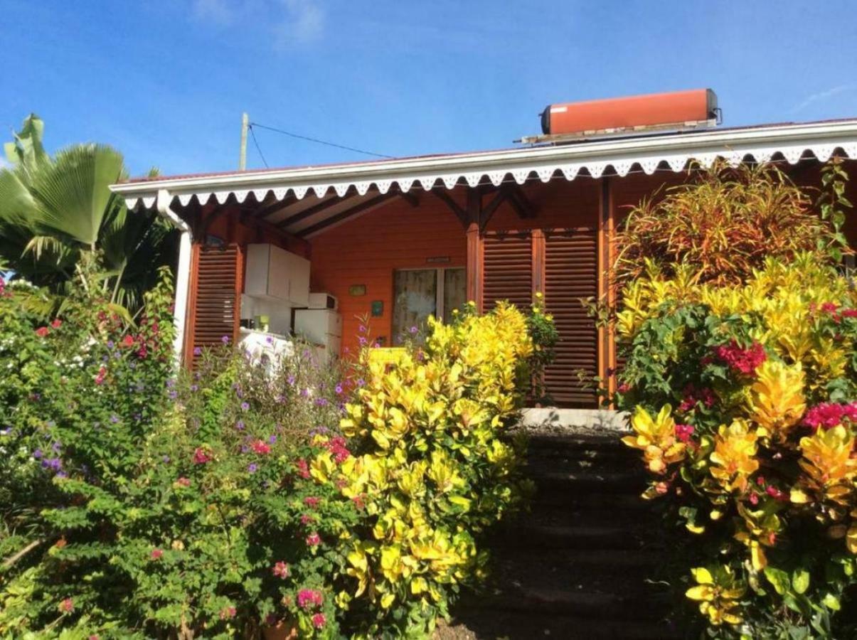 Villa Manguier Riviere-Salee Esterno foto