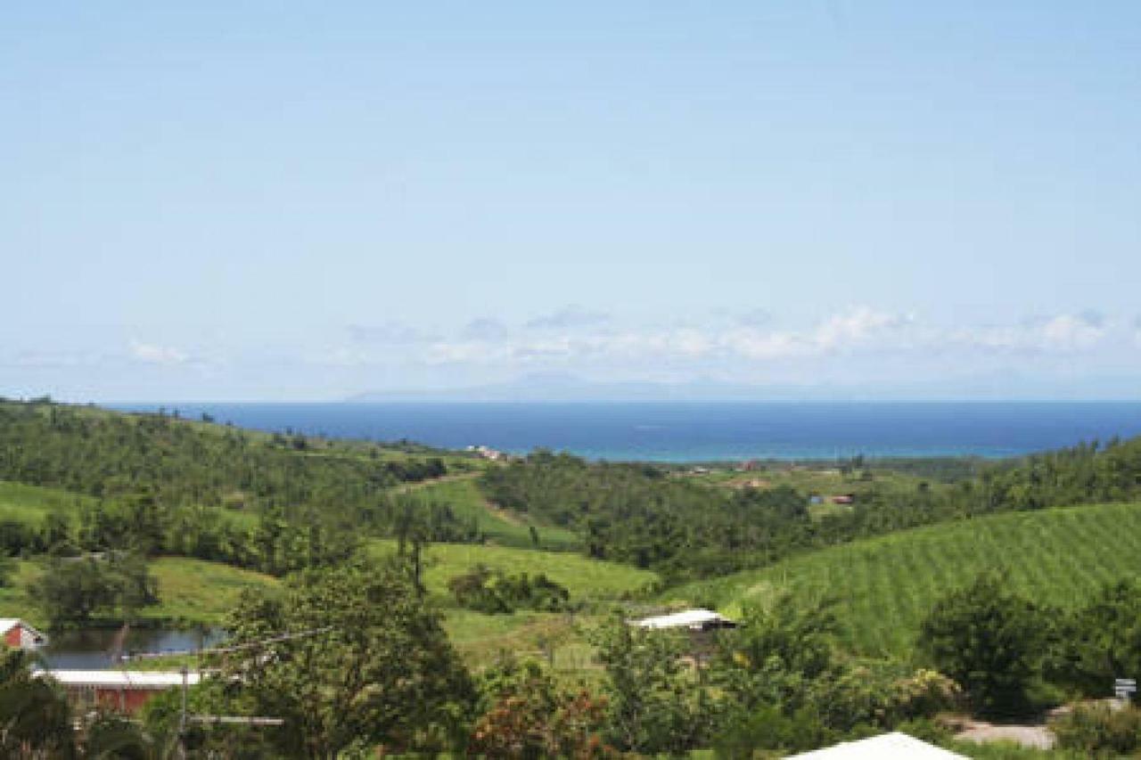 Villa Manguier Riviere-Salee Esterno foto